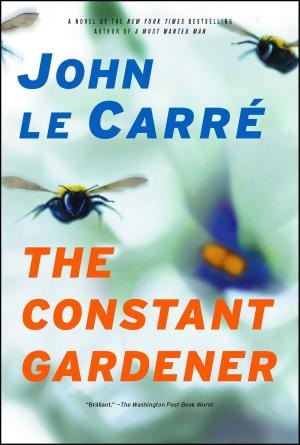 Book cover of The Constant Gardener