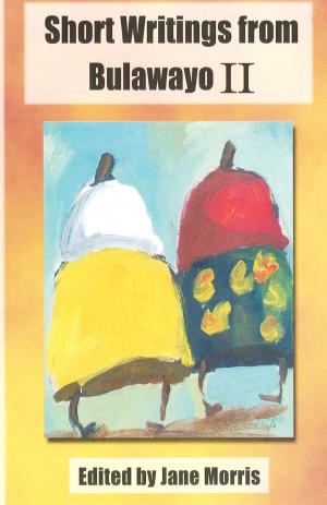 Cover of the book Short Writings from Bulawayo II by Christopher Mlalazi