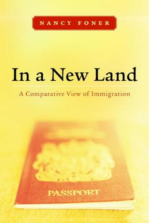 Cover of the book In a New Land by Mike Hill