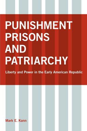 bigCover of the book Punishment, Prisons, and Patriarchy by 