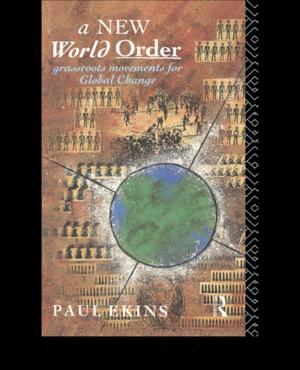 Cover of the book A New World Order by Dietmar Schmidt