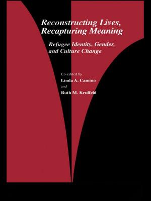 Cover of the book Reconstructing Lives, Recapturing Meaning by Aengus R M Fogarty