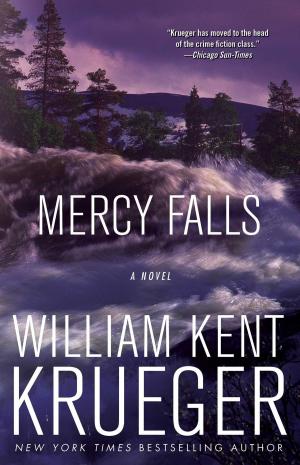 Cover of the book Mercy Falls by Patrick Swayze, Lisa Niemi Swayze