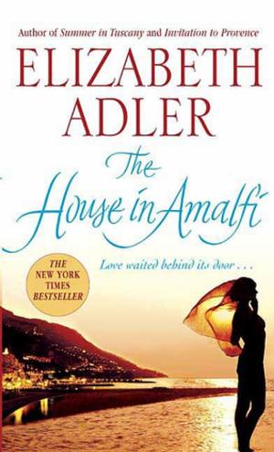 Book cover of The House in Amalfi