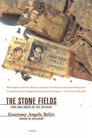 bigCover of the book The Stone Fields by 