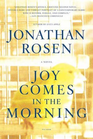 Cover of the book Joy Comes in the Morning by Fiona McFarlane