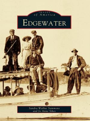 Cover of the book Edgewater by Brenda Laird