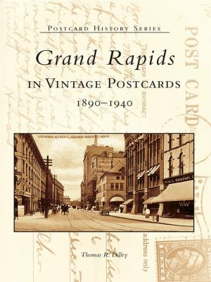 Cover of the book Grand Rapids in Vintage Postcards by George S. LeMieux, Laura E. Mize