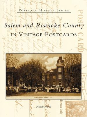 Cover of the book Salem and Roanoke County in Vintage Postcards by Elizabeth O'Connell, Stephen Harding, Friends of Peary's Eagle Island