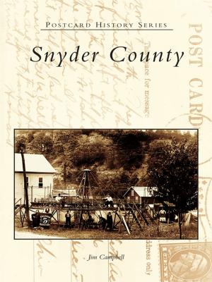 Cover of the book Snyder County by Angela Kellogg, Cody Beemer