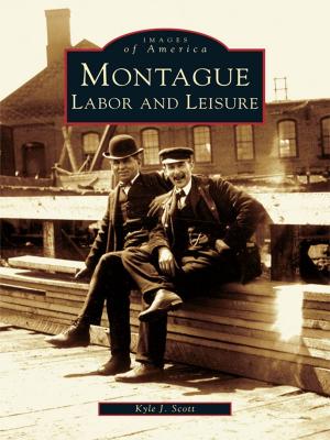 Cover of the book Montague by Elizabeth Johanneck