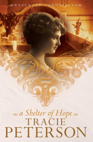 Cover of the book Shelter of Hope, A (Westward Chronicles Book #1) by Nathan D. Holsteen, Michael J. Svigel, Douglas Blount, J. Burns, J. Horrell, Glenn Kreider