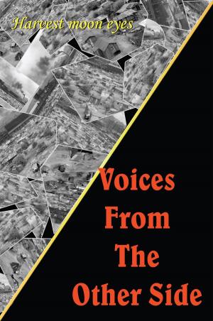 Cover of the book Voices from the Other Side by Michele Farinelly