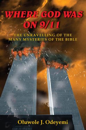 Cover of the book Where God Was on 9/11 by Fayzan Hanif