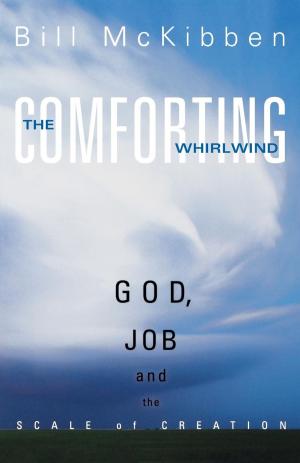 Cover of the book The Comforting Whirlwind by Richard Giles