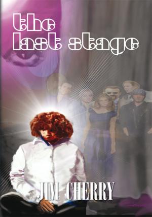 Cover of the book The Last Stage by Josh Roggenbuck