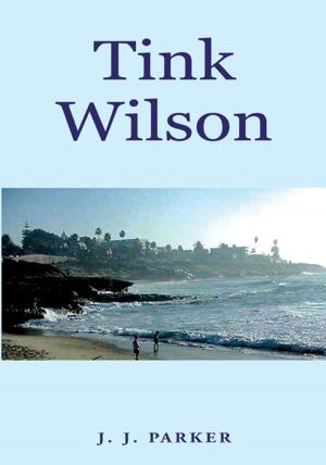 Cover of the book Tink Wilson by Terry Parrott