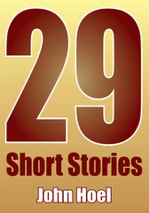 Cover of the book 29 Short Stories by Robbie Kew