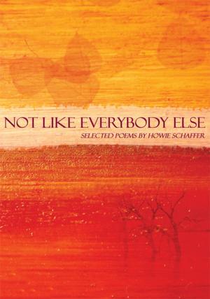 Cover of the book Not Like Everybody Else by Raff Rafferty