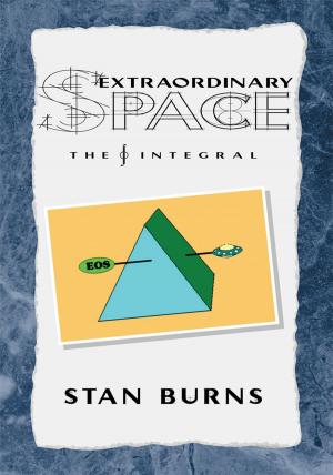 Cover of the book Extraordinary Space: the Integral by Ev’one-ya Eulasson