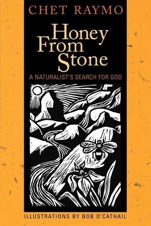 Cover of the book Honey from Stone by Norvene Vest