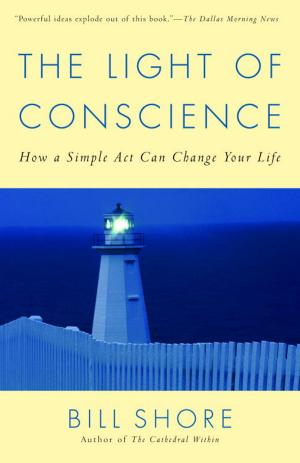 Cover of the book The Light of Conscience by Steven Brill