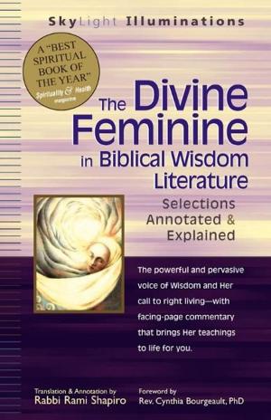 Book cover of The Divine Feminine in Biblical Wisdom Literature: Selections Annotated & Explained