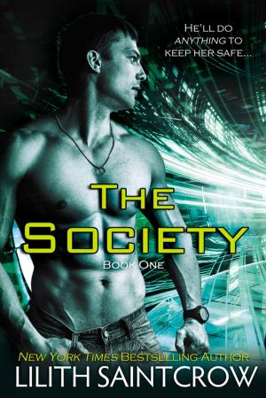 Cover of the book The Society by Elizabeth Sinclair