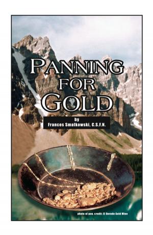 Cover of the book Panning for Gold by Jamie Wiley