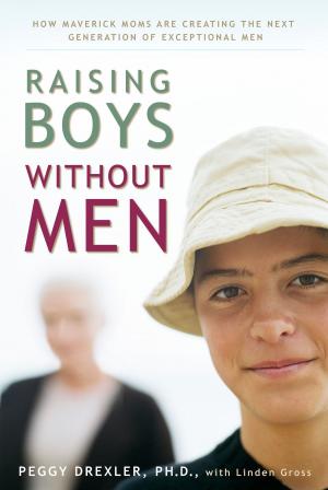 bigCover of the book Raising Boys without Men by 