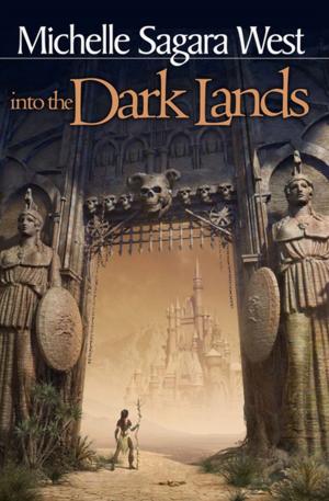 Book cover of Into the Dark Lands
