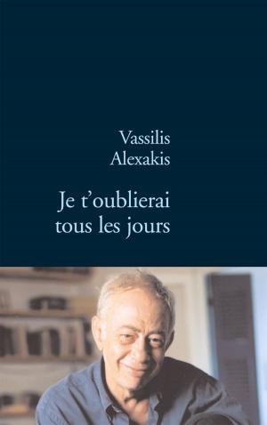 Cover of the book Je t'oublierai tous les jours by Simon Liberati