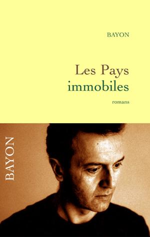 Cover of the book Les pays immobiles by Gilles Martin-Chauffier