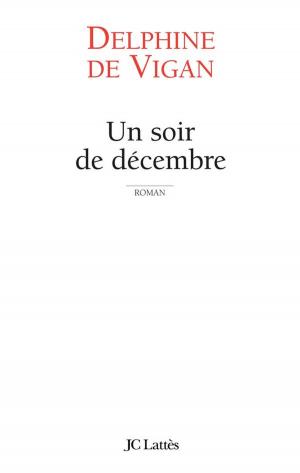 Cover of the book Un soir de décembre by Tracy Chamoun