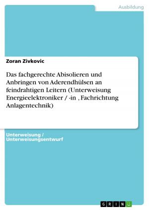 Cover of the book Das fachgerechte Abisolieren und Anbringen von Aderendhülsen an feindrahtigen Leitern (Unterweisung Energieelektroniker / -in , Fachrichtung Anlagentechnik) by Mbogo Wa Wambui