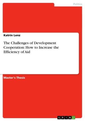 Cover of the book The Challenges of Development Cooperation: How to Increase the Efficiency of Aid by Sebastian Plappert