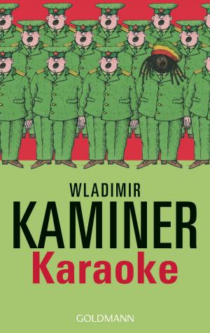 Cover of the book Karaoke by Wladimir Kaminer