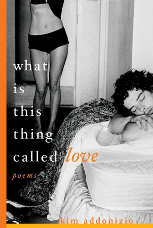 Cover of the book What Is This Thing Called Love: Poems by Kim Addonizio, W. W. Norton & Company