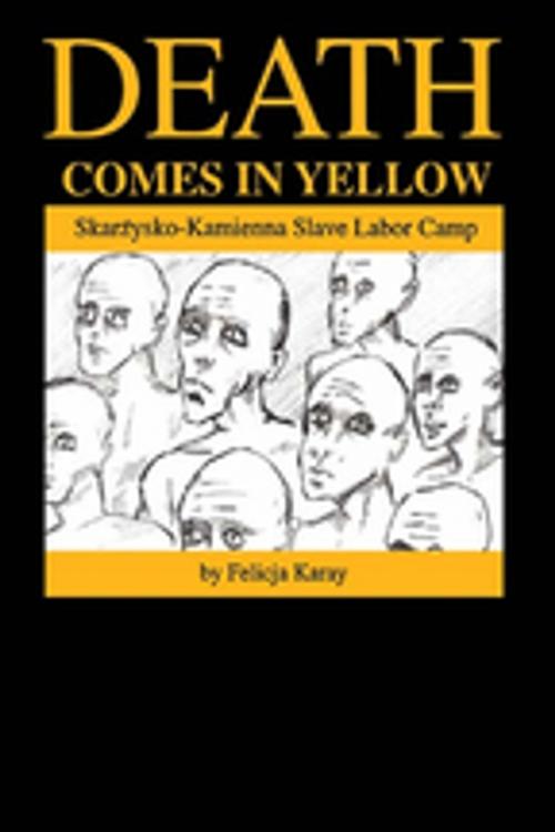 Cover of the book Death Comes in Yellow by Felicja Karay, Taylor and Francis