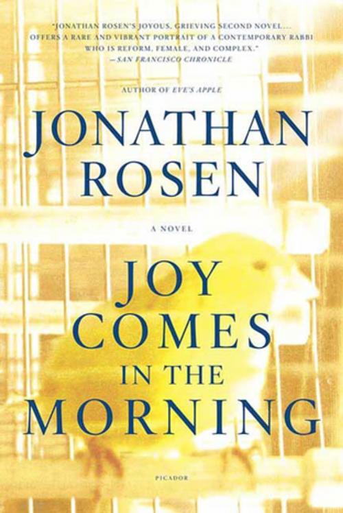 Cover of the book Joy Comes in the Morning by Jonathan Rosen, Farrar, Straus and Giroux