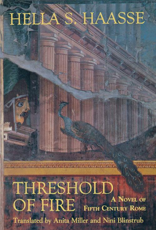 Cover of the book Threshold of Fire by Hella S. Haasse, Chicago Review Press