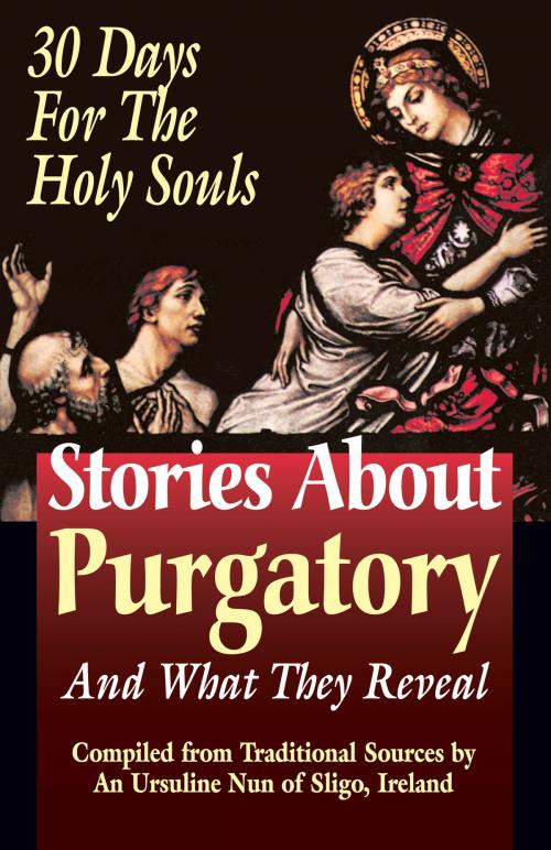 Cover of the book Stories About Purgatory and What They Reveal by Nun of Sligo, Ireland, TAN Books