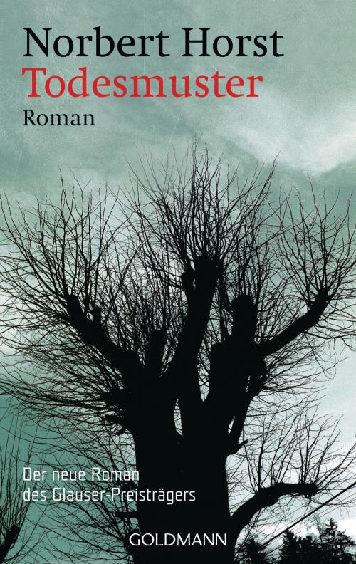Cover of the book Todesmuster by Norbert Horst, Goldmann Verlag