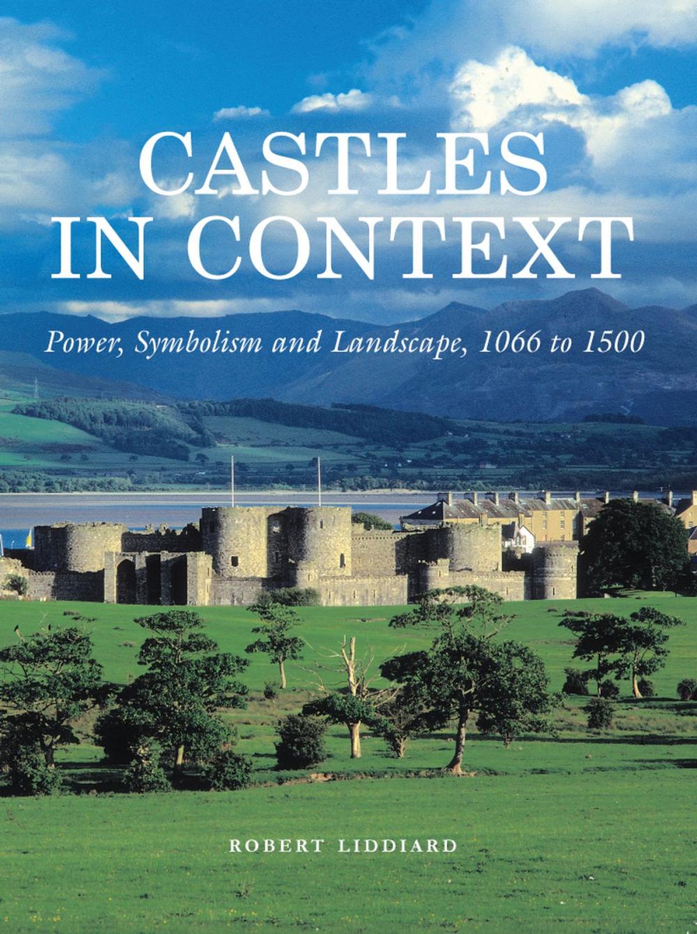 Big bigCover of Castles in Context