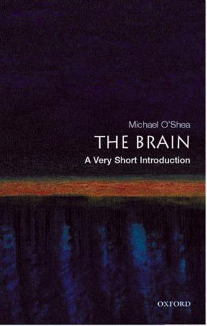 Book cover of The Brain: A Very Short Introduction