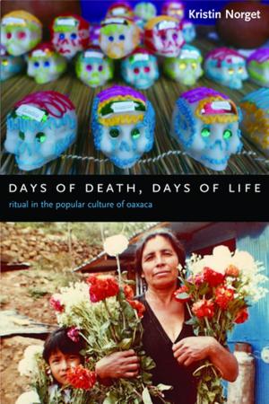 Cover of the book Days of Death, Days of Life by Peter Rabins