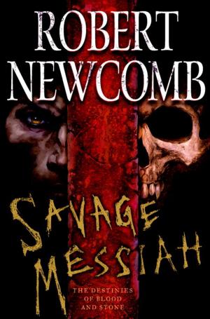 Cover of the book Savage Messiah by JMD Reid