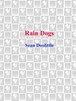 Cover of the book Rain Dogs by Patrick Radden Keefe