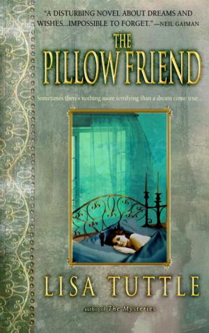 Cover of the book The Pillow Friend by Micol Negrin