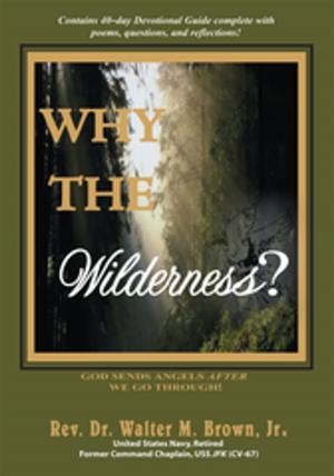 Cover of the book Why the Wilderness? by Walter F. Picca